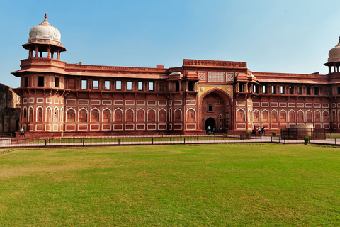 Delhi: Visita al Taj Mahal y al Fuerte de Agra en coche con opción de comidaSin entradas ni comida