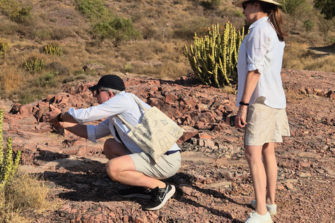 Passeggiate culturali a Jodhpur