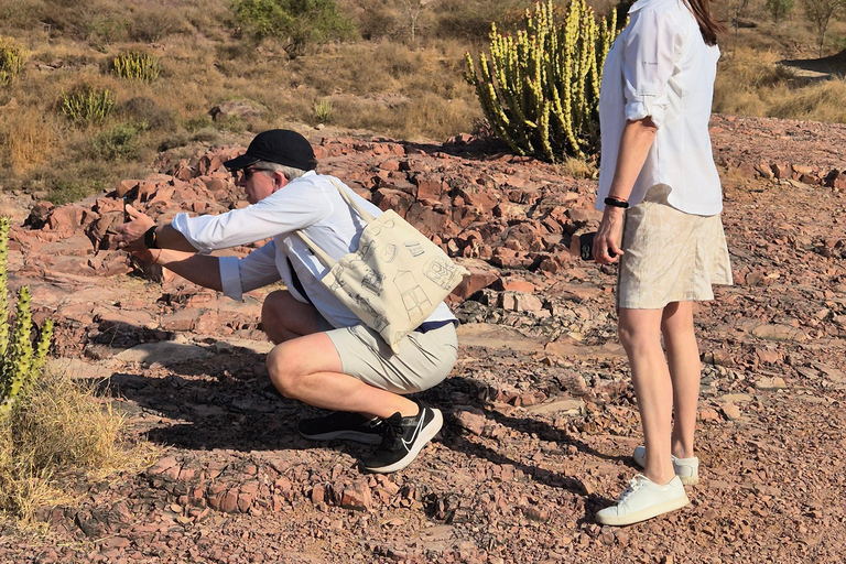 Passeggiate culturali a Jodhpur