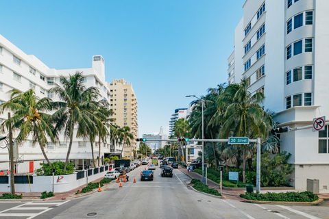 Miami Combo: Open-top Bus Tour & Millionaires Row Bay Cruise Miami: Open-Top Bus Tour & Millionaire's Row Bay Cruise