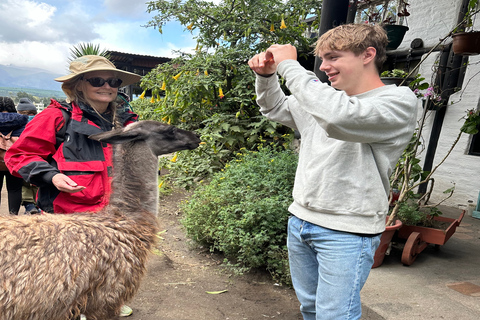 Cotopaxi och Baños Tour på en dag - Allt ingår från QuitoEnkel rundtur (biljetter ingår ej)