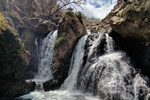 Excursión de un Día a las Montañas del Alto Atlas y los Tres Valles y Cascadas