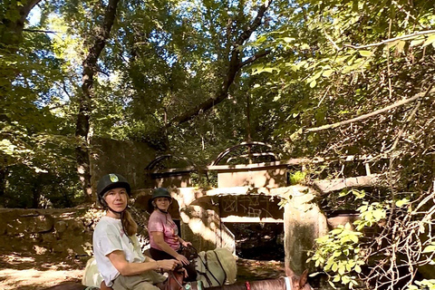 Provence: 2-hour Western horseback riding tour, refreshing break in the river Provence: 2-Hour Western Horseback Riding Tour, Refreshing Break in the River