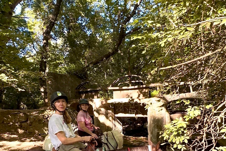 Provence: 2-hour Western horseback riding tour, refreshing break in the river Provence: 2-Hour Western Horseback Riding Tour, Refreshing Break in the River