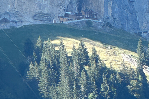 Zürich: Dagtocht Appenzeller bergen, meer &amp; kaasfabriek