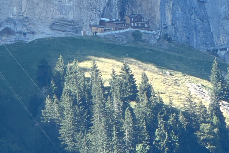 Zürich: Dagtocht Appenzeller bergen, meer &amp; kaasfabriek