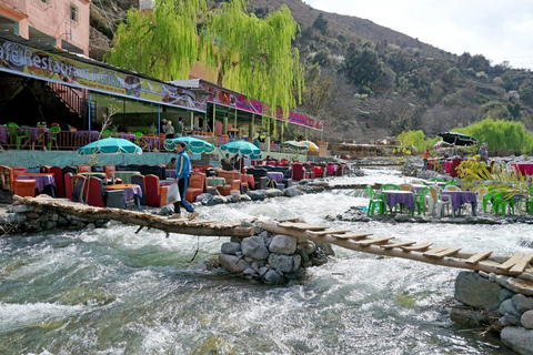 Marrakech: Atlasgebergte, Ourika waterval met gids+lunchGroepsreis