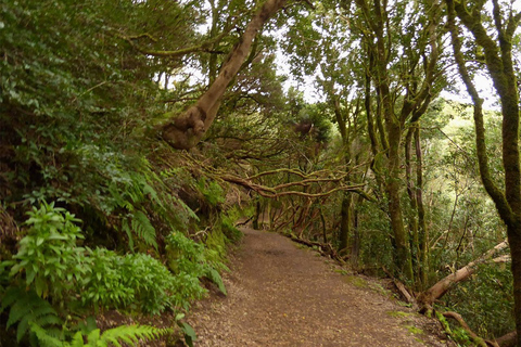 Santa Cruz de Tenerife: wandelen in het Anaga-gebergte