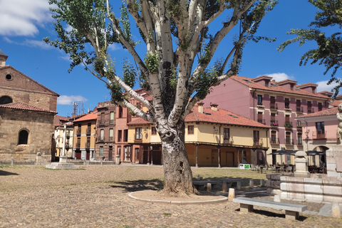 Guided tour around León