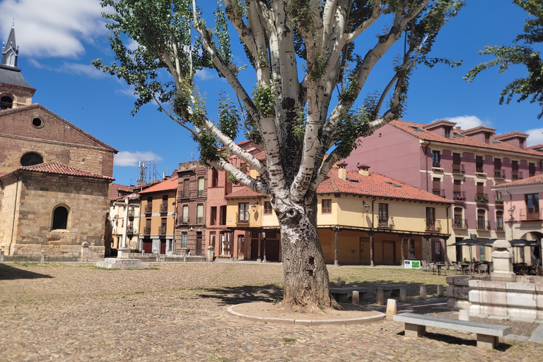 Guided tour around León