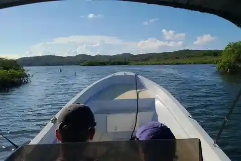 Bay Islands: Pigeon Cay Nurse Shark Encounter Boat Tour
