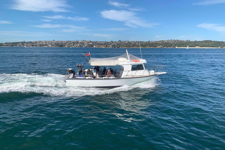 Sydney: 4 Hour Offshore Deep Sea Fishing Charter From Manly