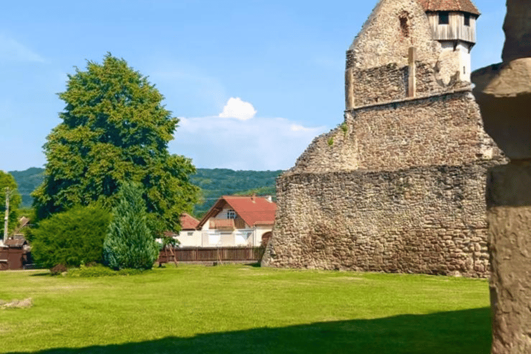 Sibiu: Țara Oltului and Țara Făgărașului Day Trip