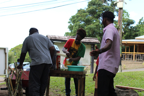 Saint Kitts: Basseterre Munch matupplevelse