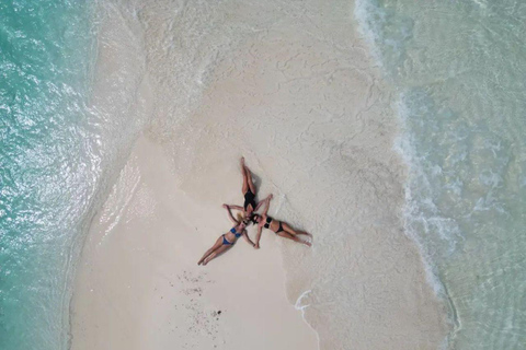 Avventura con le stelle marine, Pranzo alla Roccia, Tour dei delfini di Mnemba