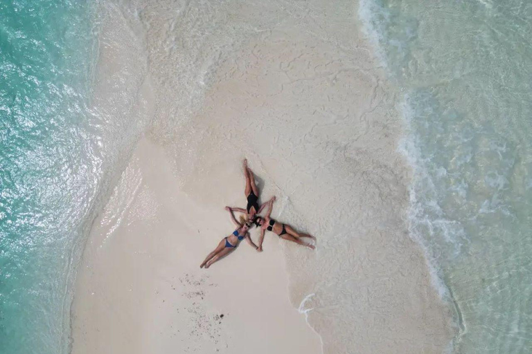 Aventura de las Estrellas de Mar, Comida en La Roca, Excursión a los Delfines de Mnemba