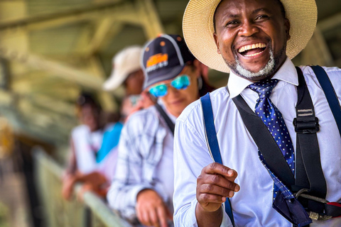 Victoria Falls: panoramische vlucht, brugtour en rondvaart tijdens zonsondergang