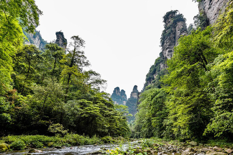 Zhangjiajie: Avatar Forest Park Group Tour or Ticket Big Group Tour with English Guide & Entry Ticket (11-16 ppl)
