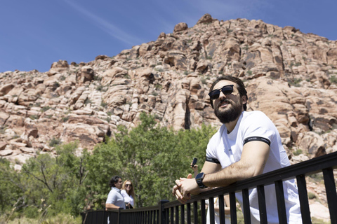 لاس فيغاس: جولة وادي النار ووادي الصخور الحمراء