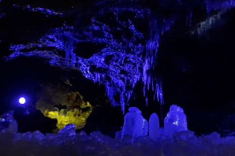 Haunted Hospital for Bravest Ghost Hunters & Silent Forest