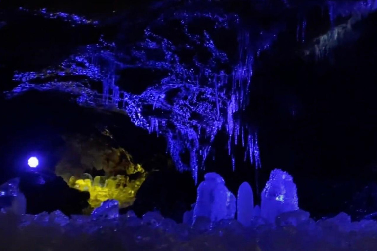 Haunted Hospital for Bravest Ghost Hunters & Silent Forest