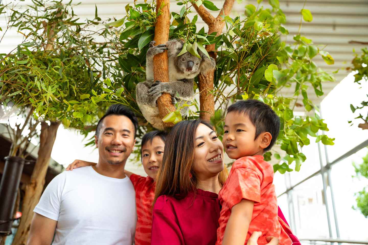 Home of the Big Aussie 5, WILD LIFE Sydney Zoo - Same Day: WILD LIFE Sydney - Bookings for Today