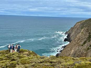 Southern Ocean Walk: Geführter 4-tägiger Rundgang auf der Fleurieu Peninsula