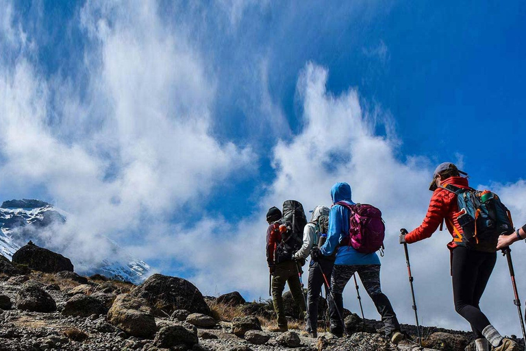 5 jours d&#039;ascension du Kilimandjaro par la route de Marangu