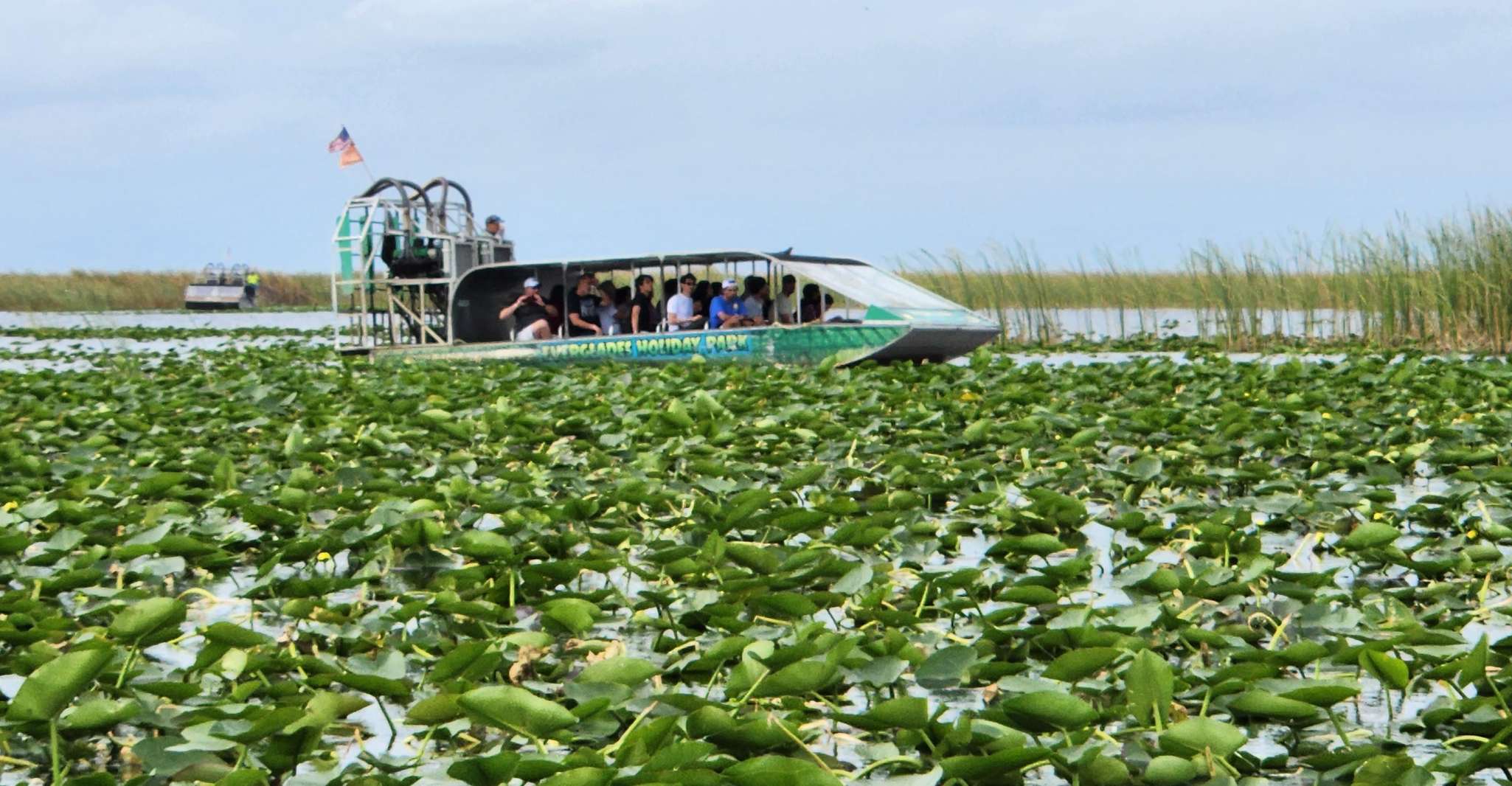 Miami: Everglades Airboat, Gator Encounter & Bus Transfer photo 6