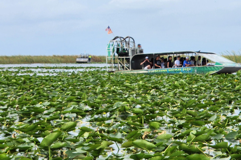 Miami: Everglades Airboat, Gator Encounter & Bus Transfer