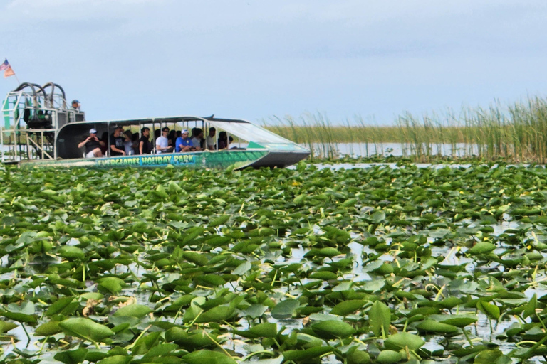 Miami: Everglades Airboat, Gator Encounter & Bus Transfer