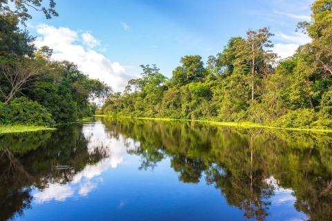 Z Iquitos || Przepłyń Amazonkę - cały dzień ||