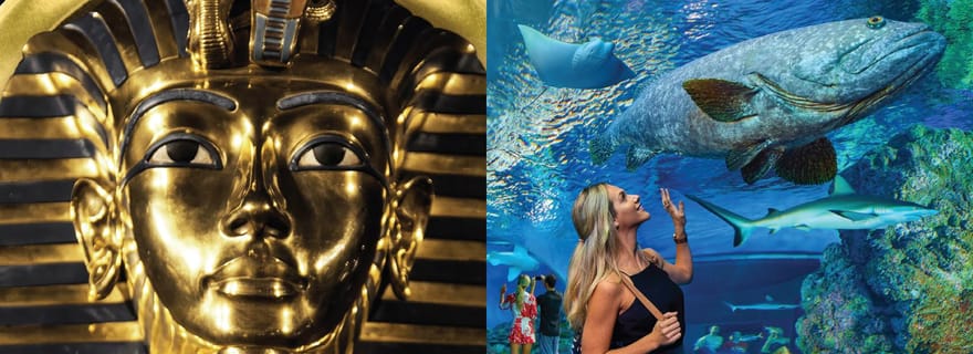 Cairns : billet d'entrée pour l'aquarium et la tombe des pharaons