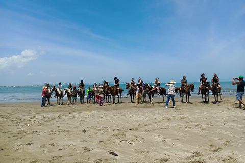 Horseback riding in Cartagena on the shores of the Caribbean Sea