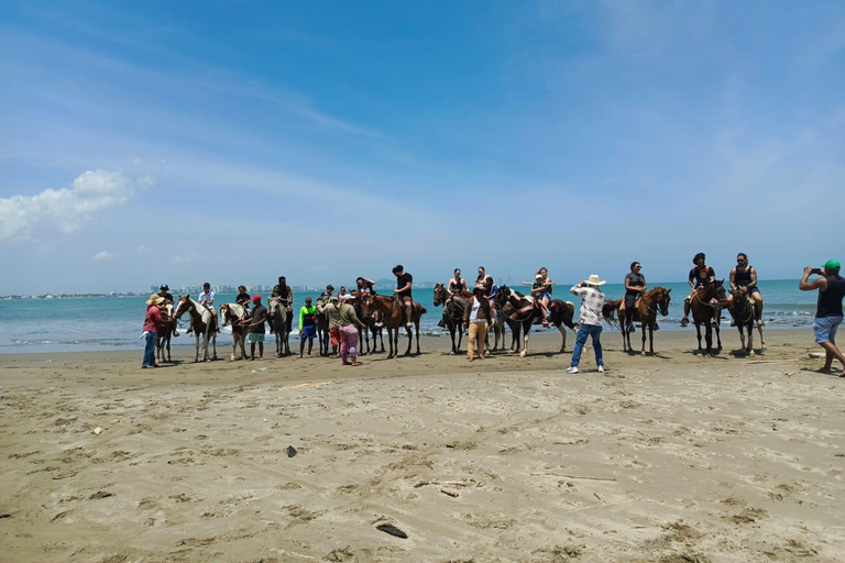 Horseback riding in Cartagena on the shores of the Caribbean Sea