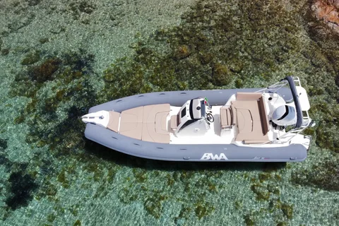 From Porto Rotondo: dinghy snorkeling tour with dolphin sighting