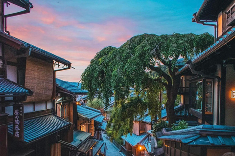 Kyoto Full-Day Customizable Group Tour with Guide