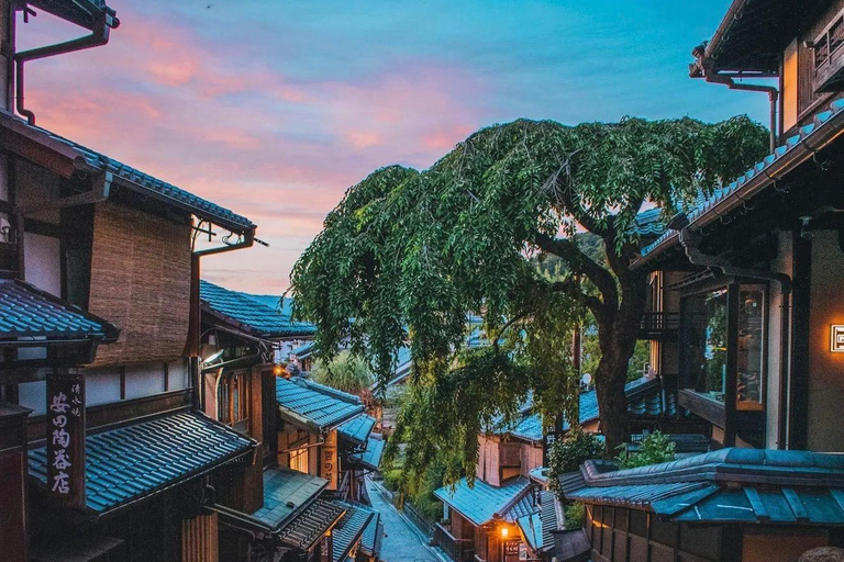 Kyoto Full-Day Customizable Group Tour with Guide