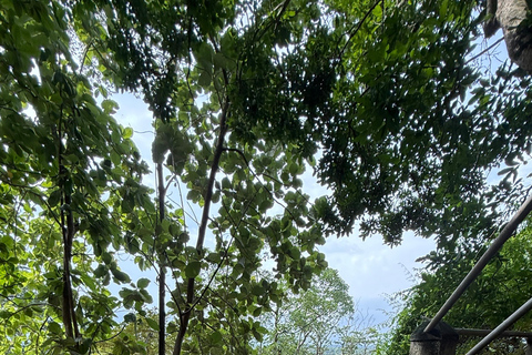 From Colombo: Cave Temples, Jungle Trek & Waterfall Swim