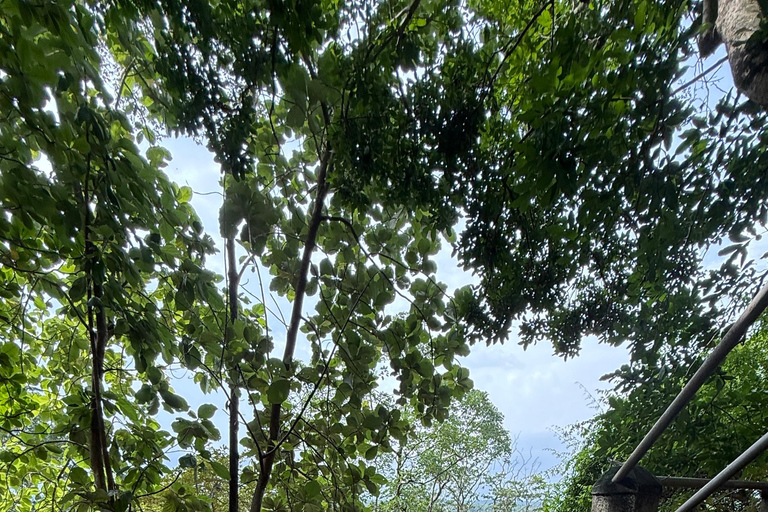 From Colombo: Cave Temples, Jungle Trek & Waterfall Swim