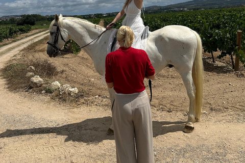 Alicante: przejażdżka konna po górach Maigmó, piknik i transferAlicante: Wycieczka konna na górę Maigmó, piknik i transfer