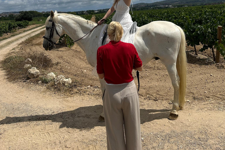Alicante: przejażdżka konna po górach Maigmó, piknik i transferAlicante: Wycieczka konna na górę Maigmó, piknik i transfer