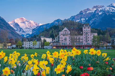 Crash Landing on You Privat dagstur i Schweiz