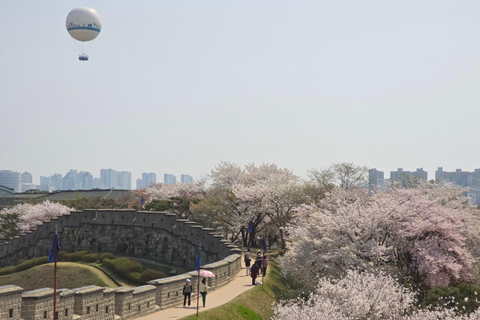 Unesco erfgoed, Suwon Hwaseong fort en Volksdorp