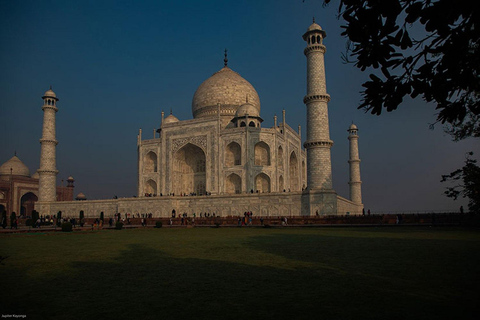 5 nätter 6 dagar Golden Triangle Indien Tour med RanthamboreRundresa endast med bil och förare