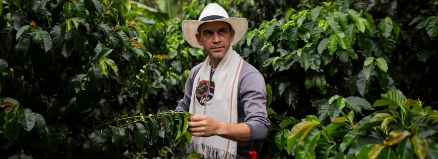 Salento : Visite de la plantation de café Don Elías (Guide anglais/espagnol/français)