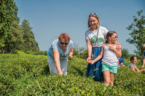 Baku: Southern Azerbaijan Hot Springs and Nature Tour 1-Day Lankaran Hot Springs Tour – Standard (No Meals)