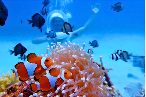 Boracay: Helmet Diving