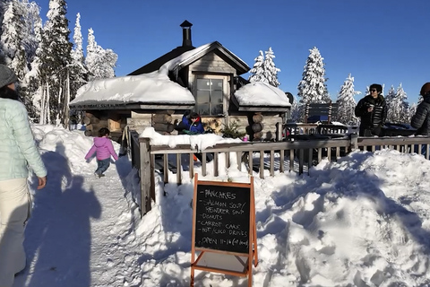 Rovaniemi: Local Guide Riisitunturi National Park Day Trip