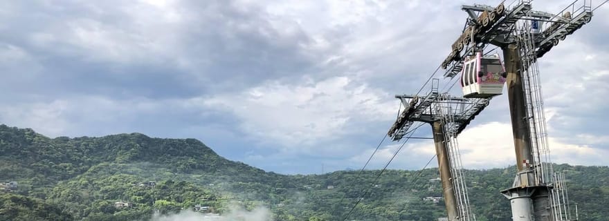 Depuis Taipei : Visite guidée de la culture du thé de Pinglin et de Maokong